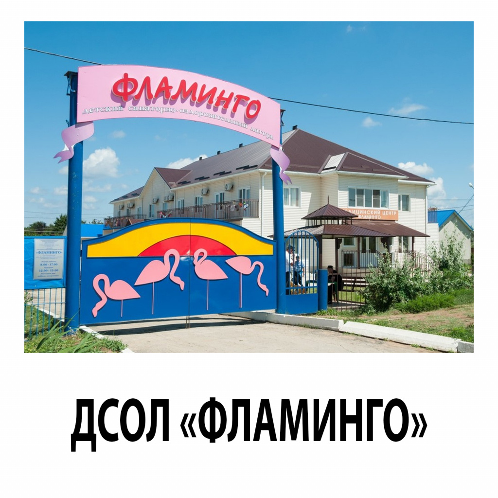 DSOL FLAMINGO.jpg